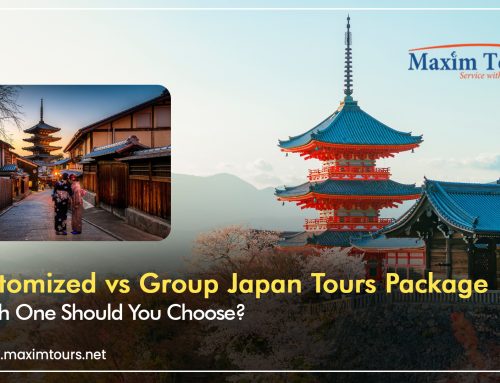 Customised vs Group Japan Tours Package: Which One Should You Choose?